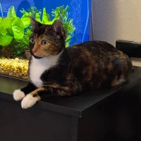 Horny0420's Avatar Pic