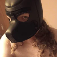 ChilledPup's Profile Pic