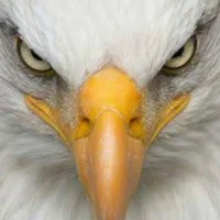 ARIOSSS' Profile Pic