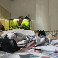 Gambar Avatar dennis89768