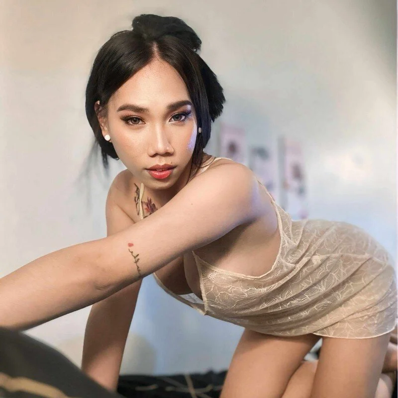 SexyAsianCockTS profile photo