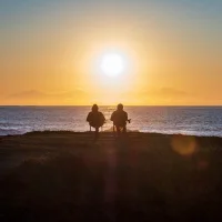 Panda_______'s Profile Pic