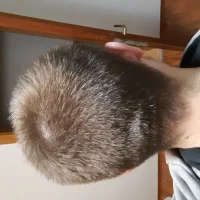 dejannbiggs profilbillede