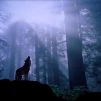 Mehrfach-Abspritzer avatarbilde