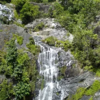 Image d’avatar de Calendulin