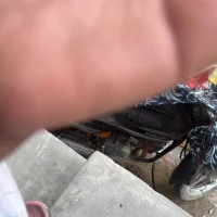 BabyRosy69's Profile Pic