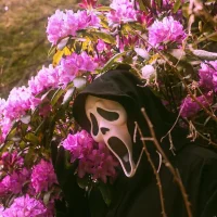Habibiporn's Avatar Pic