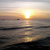 Meet7171: εικόνα άβαταρ