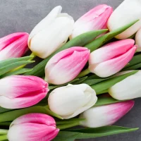 Ảnh đại diện của Grace_Alice