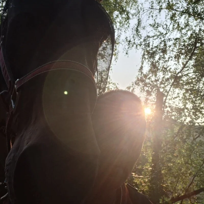 Divossi51 profile photo
