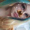 Sex Photo of MillieRossie