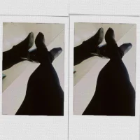 Lilixxxxxx's Profile Pic
