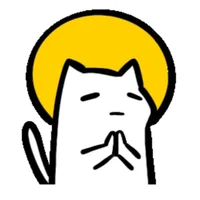 Misty-cat's Avatar Pic