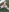 Samantha_official's photo