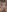 First Stream Prep