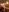 _tulipI8_Jess_beautiful's photo