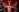 Tiler_wolker's photo
