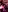 Aru_K0to's photo