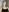 Emily_Nelson's photo