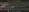 小狗的荣耀💎