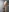 25monster's photo