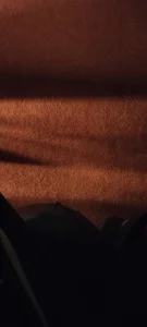 Public de HIIMSINGLEBOY  5 Imagens