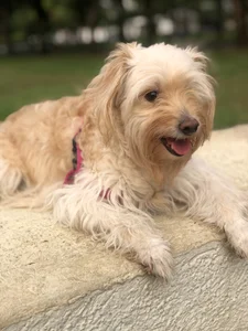 SofiaRousel's These are my pets ❤️ Sex Photo 2