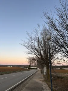 Lily_WellGiftedPublic图片 4