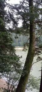 __MaryLee__ The beauty of nature Fotka 7