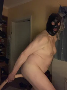 deichhorster1 Public Bilde