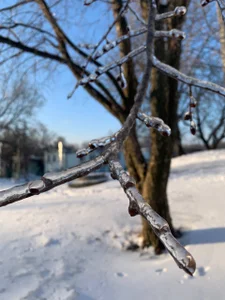 liana_kisses Frosty days😋❄ Hình 4