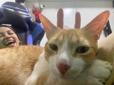 alisson_zafiro_ my loves 사진