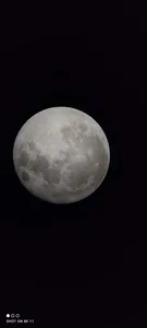 SexyCaptain Public Bilde 6