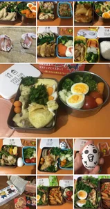 SHIOFUKI-KUJIRA34: Making lunch box OBENTO ( фото)