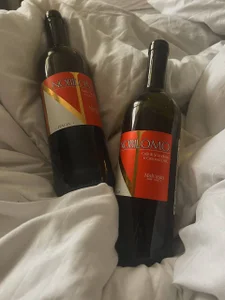 royce_ghost1's MY LIFE🤍 Sex Photo 7