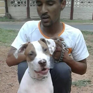 Us3rBuzuh Public Foto 7