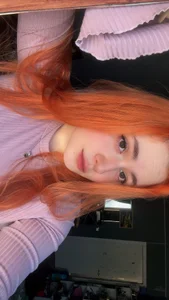 Pllusha Public Billede 4