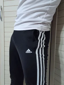 tailer_ My sweatpants Hình 6