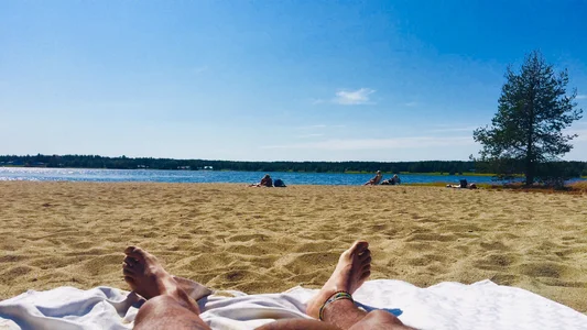 PuroMosh19Public Bild 8