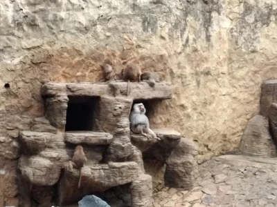 Zdjęcia LinzyBaner Taken with the cell phone:  8