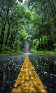 derek-sutil Public Foto