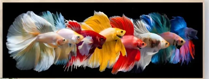 rjeanr4u Public Pic 7