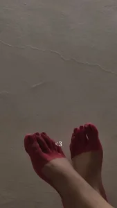 VEDA_1 Public Bilde