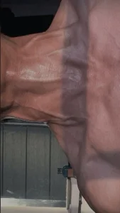boldxxl hhh Kuva 3