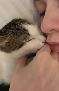 AdeleBabyGirlのMy cute catの枚の写真