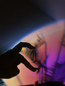 BootyTrisha Tropical sexuality 사진 3