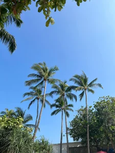 summer vibezzz