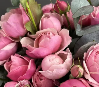 Audrey_Aura bouquet Hình 9