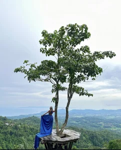 Bailey_Rush's Holidays💙 Sex Photo 2