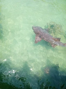 Naomii_BDSM MY VACATION🍃🛫 Poză 6